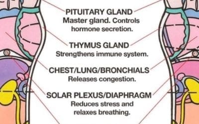 Summer #allergies bothering you? Try pressing on these #foot #reflexology . points #healingplacemedfield #summerallergies