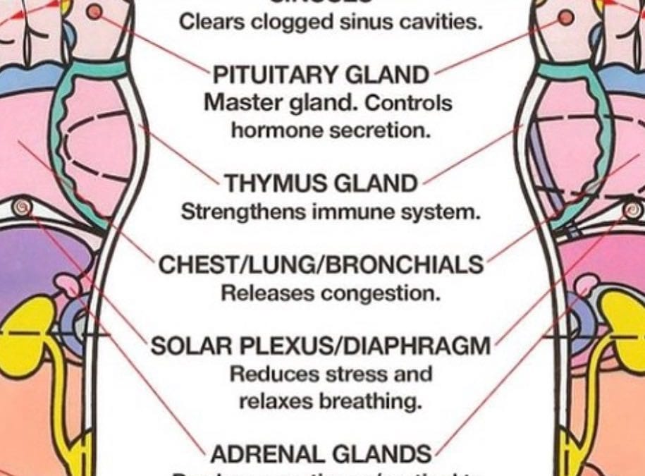 Summer #allergies bothering you? Try pressing on these #foot #reflexology . points #healingplacemedfield #summerallergies