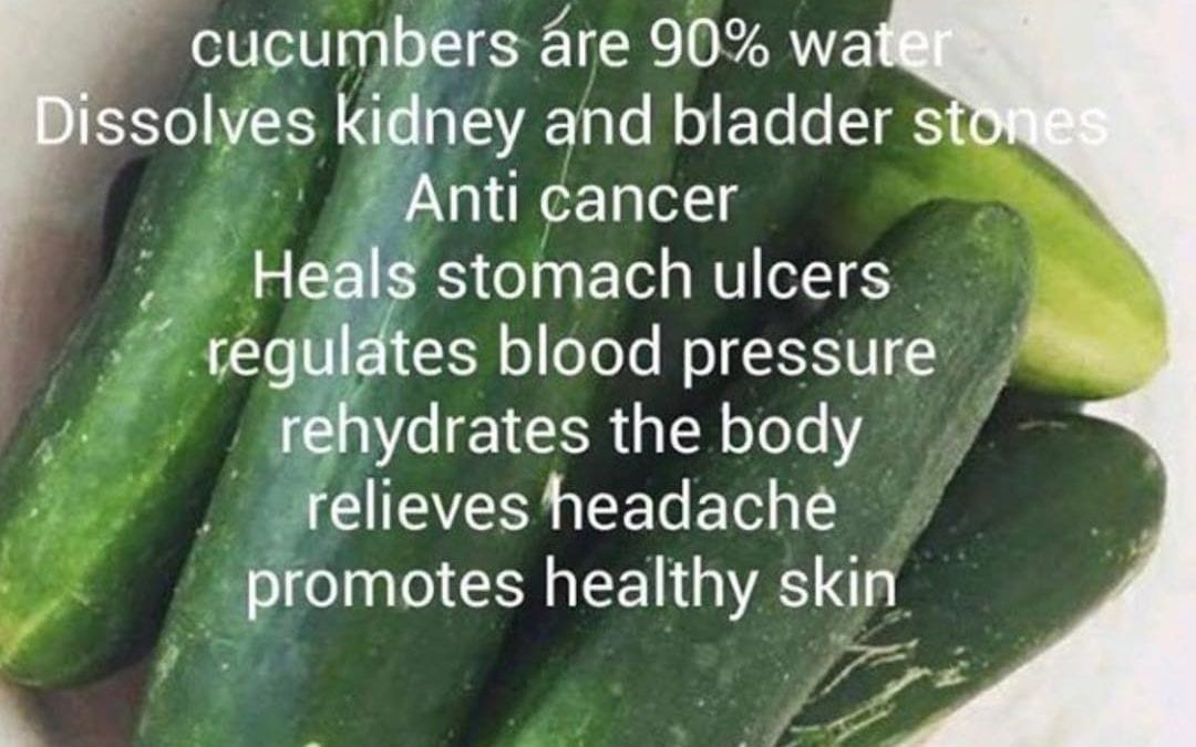 #cucumber #healthyfood #healingplacemedfield