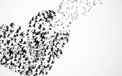 Today I feel good that I let a client go because I sensed she would not have benefitted from our work. Instead of just letting her come for services because she felt obligated, I knew deep down the sessions would not have honor her spirit, nor would it be in alignment with my integrity. I released her. I am grateful that she taught me this lesson. #alignment #spirit #releasing