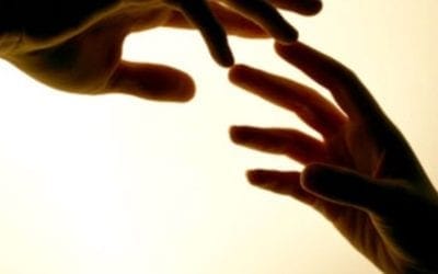 The Secret of Happiness is to be FREE OF FEAR. FEAR is a toxin that runs through most of our conscious and unconscious thoughts. FEAR feeds on insecurities, loss and loneliness, inadequacies and attachments. FEAR makes us question our abilities and self worth. It will prevent us from reaching our goals. What you think becomes your reality. LOSE the FEAR! #fear #findhappiness #inspiration #overcomefear