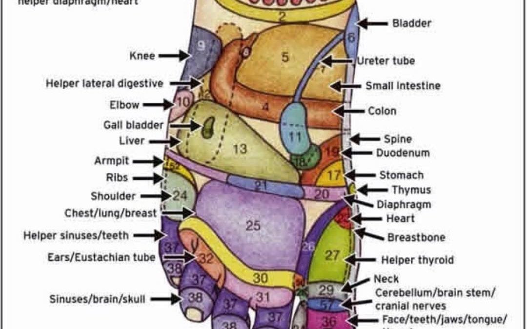 Check out this foot reflexology map. If you would like to learn how reflexology can help you to balance your energy and gain vitality call the Healing Place 508-359-6463 #energymedicine #energyhealing #mindfulness #reflexology #abundance #peace #mindbodyspirit #chakras #healingplaceenergyschool #healingplacemedfield #energyhealing #chakras #positivity #ENERGY #selfhealing #holistic #health #mindfulness #positivevibes #Chronicpain #selfcare #holistichealth #wellness #health #healthylifestyle #reflexologyqueen #reiki #chronicillness #health #healthandwellness #pain #painsucks #peaceofmind #painrelief #spoonie