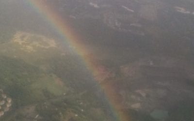 The more I chase rainbows the more I need to go home. Just like Dorothy, “if I ever go looking for my heart’s desire again, I won’t look any further than my own backyard, because if it isn’t there, I never really lost it to begin with. Is that right?” To learn what we do, https://healingplacemedfield.com #healingplaceenergyschool #energymedicine #energyhealing #mindfulness #reflexology #abundance #peace #mindbodyspirit #chakras #healingplaceenergyschool #healingplacemedfield #energyhealing #chakras #positivity #ENERGY #selfhealing #holistic #health #mindfulness #positivevibes #Chronicpain #selfcare #holistichealth #wellness #health #healthylifestyle #reflexologyqueen #reiki #chronicillness #health #healthandwellness #pain #painsucks #peaceofmind #painrelief #spoonie