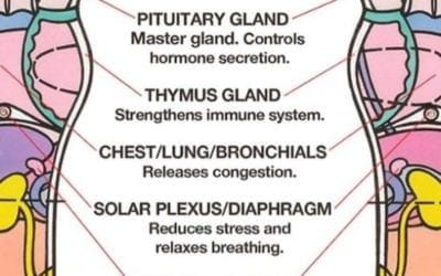 Summer #allergies bothering you? Try these #foot #reflexology tips. Press on points #healing #energyhealing