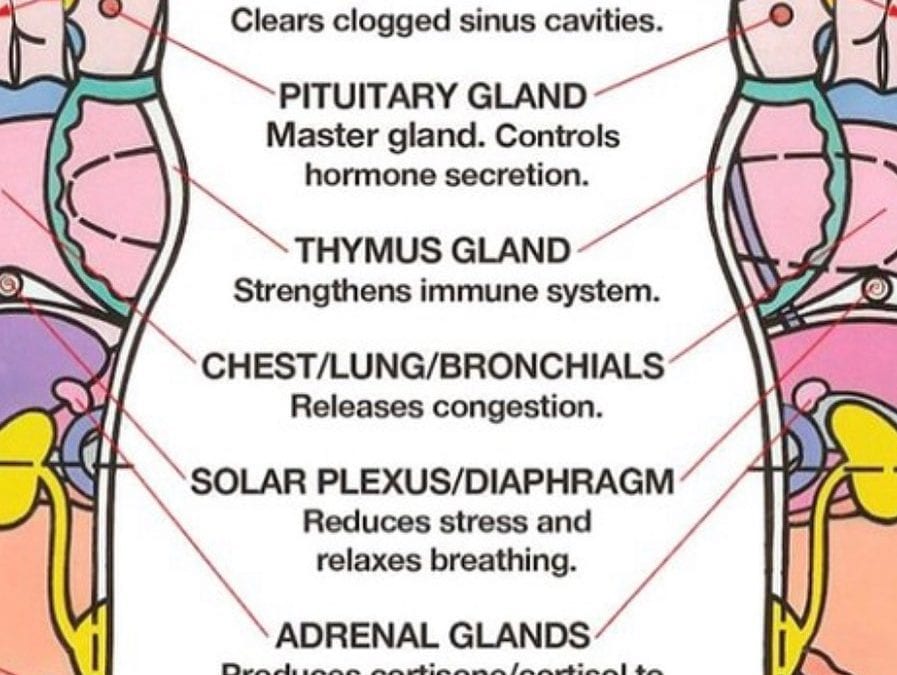 Summer #allergies bothering you? Try these #foot #reflexology tips. Press on points #healing #energyhealing