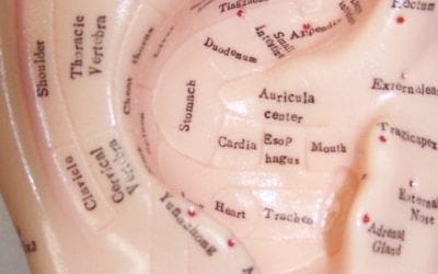 Reflexology Can Help to Relieve Tinnitus Discomforts