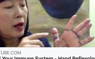 I sense this is going to be a challenging winter for health, please begin building your immunity today with reflexology. Here is a quick #reflexology tip https://m.youtube.com/watch?feature=youtu.be&v=Vs6AXz2-9v4 …….If you are looking for more in-depth reflexology technique that goes beyond a tip, visit https://courses.healingplaceenergyschool.com/product/cold-flu-and-respiratory-reflexology-step-by-step-1-part/ #wellness #selfcare #quicktip #quicktipwithhelen #cold #flu #reflexology