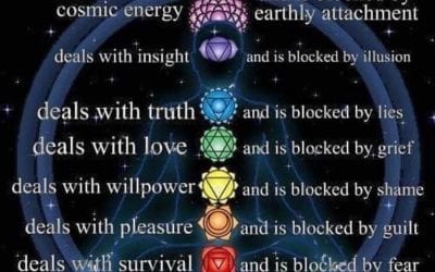 Since I do so much chakra balancing in my daily energy reflexology work, I thought I would share this chart listing which emotions cause most blockage or sluggish energy. Look at which emotions you are trying to balanced and from there you know which chakra is struggling to stay open. #chakrahealing #chakra #chakraalignment #reflexology #energyhealing #alignment #healingjourney #healingplacemedfield #healingplaceenergyschool
