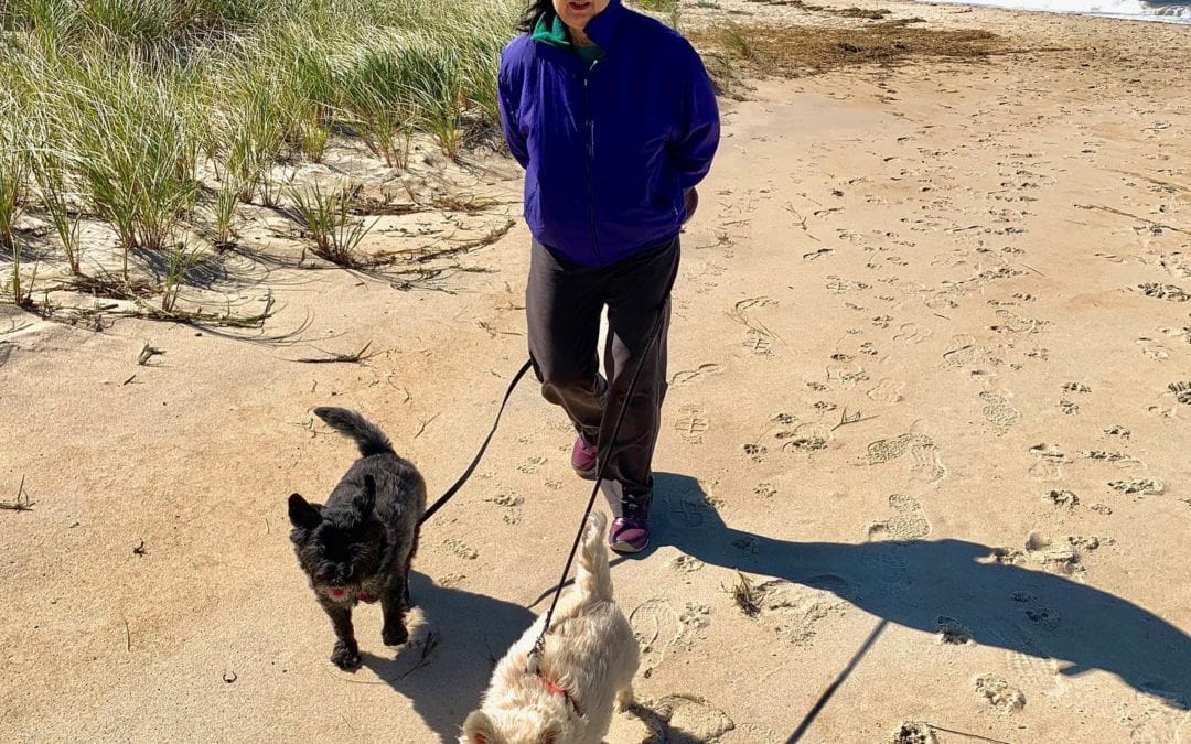 Best gift is mentally being free. Walking puppies Listening to ocean waves. #peace #quiet #solitude #solitudeisbliss #meditationspace #heal #healingjourney #healingplacemedfield #healingplaceenergyschool