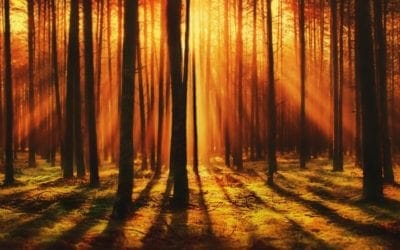 How Seasonal Changes Can Affect Your Health