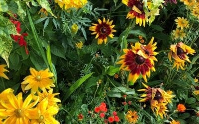 Allergy relief with hand reflexology. It takes a minute to apply reflexology techniques on both hands for sinus relief. Give it a try. https://bit.ly/3jIugx2 For more in depth hand reflexology lesson to relieve cold, flu, and respiratory symptoms check out courses.healingplaceenergyschool.com #reflexology #healing #allergies #energymedicine #healingplaceenergyschool #healingplacemedfield #PainRelief #wellness #selfcare