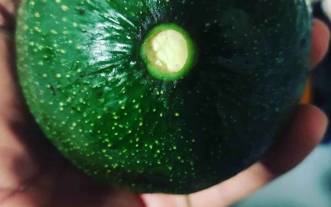 Ripened avocado? – To test if an avocado is ripe, pull off the stem to see the inside of the avocado. This picture indicates the avocado is riped. I have not tested to see if this is true. I like to give a gentle squeeze test . Any opinion? #ripeavocado #food #wholefoods