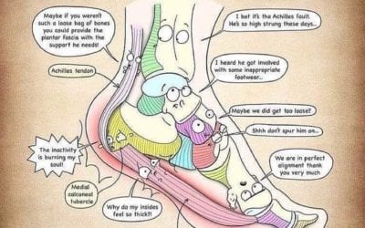 Plantar fasciitis conversation among foot bones and ligaments. If you are looking for help to relieve the planter fasciitis pain, call the HealingPlaceMedfield 508-359-6463. #plantarfasciitis #plantarfasciitisrelief #reflexology #painrelief #feet #healingplacemedfield #healingplaceenergyschool