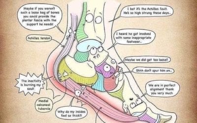 Plantar fasciitis conversation among foot bones and ligaments. If you are looking for help to relieve the planter fasciitis pain, call the HealingPlaceMedfield 508-359-6463. #plantarfasciitis #plantarfasciitisrelief #reflexology #painrelief #feet #healingplacemedfield #healingplaceenergyschool