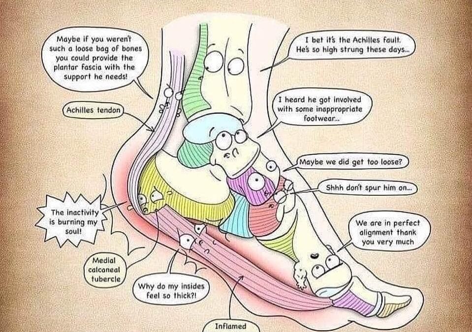 Plantar fasciitis conversation among foot bones and ligaments. If you are looking for help to relieve the planter fasciitis pain, call the HealingPlaceMedfield 508-359-6463. #plantarfasciitis #plantarfasciitisrelief #reflexology #painrelief #feet #healingplacemedfield #healingplaceenergyschool