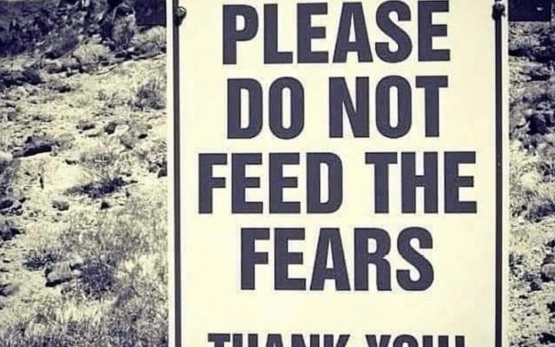 What stops us is fear. The fear of looking stupid. The fear of failure. The fear of success. The fear of not being able to keep up. You can become friends with your fears and it can encourage you to be the best version of you. To expand your energy check out our energy expansion courses at the #HealingPlaceEnergySchool. True from your fears. #fear #fearless #youcandoit #healingplacemedfield