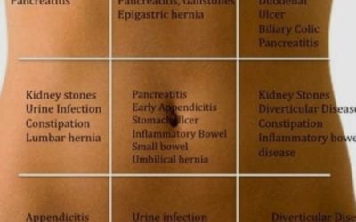 Do you have an emotional stomach? How emotions can cause health problems. Check out my post about the relation between emotions and your stomach https://bit.ly/3jXQZnX #digestivehealth #digestive #emotionalhealth #reflexology #footreflexology #healingplacemedfield #healingplaceenergyschool #mindfulness #mindfulliving #digestivehealth #emotionalhealth