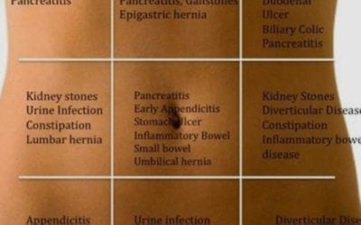 Do you have an emotional stomach? How emotions can cause health problems. Check out my post about the relation between emotions and your stomach https://bit.ly/3jXQZnX #digestivehealth #digestive #emotionalhealth #reflexology #footreflexology #healingplacemedfield #healingplaceenergyschool #mindfulness #mindfulliving #digestivehealth #emotionalhealth