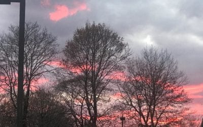 Live and witness your life as though it may be your last one. We take for granted the beauty in our lives until something happens. Let’s be thankful. There is a reminder video https://youtu.be/xfcRYHAeEow #beauty #gratitide #thejourney #selfcare #self #healingplacemedfield #healingplaceenergyschool