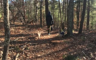 Instead of waiting for someone to give you permission to live your life, why not give yourself permission. You are meant to live your purpose. Let me help you to navigate through the awakening process with First Step to Your Spiritual Journey https://courses.healingplaceenergyschool.com/product/first-step-to-your-spiritual-journey/ #journey #soulawakening #soul #spirit #healingplaceenergyschool #healingplacemedfield