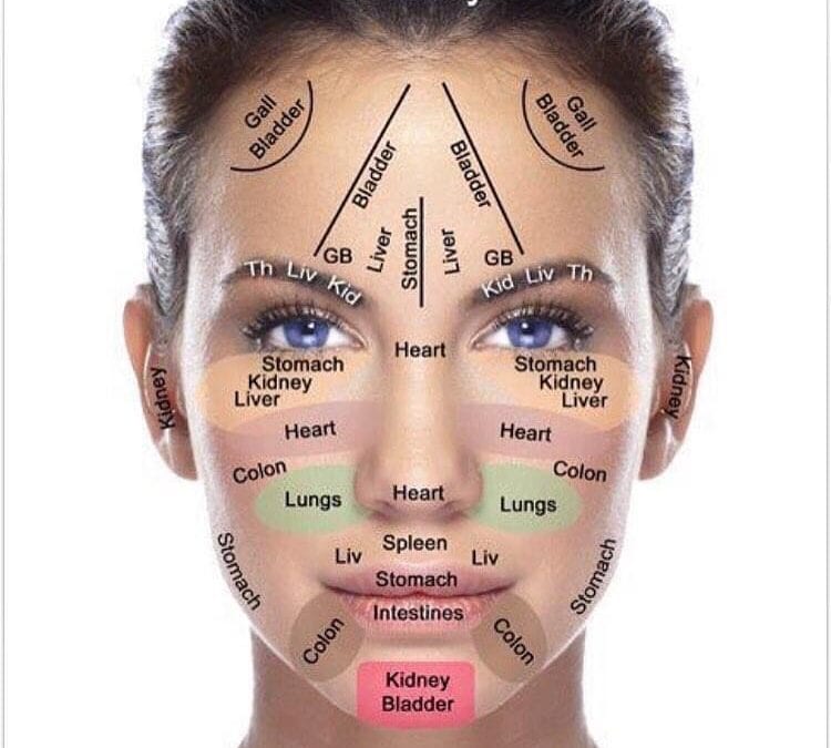 This is the face reflexology map I follow when I give a face reflexology session. This is helpful for people who have headaches, tight jaw, ear and eye problems or just for relaxing facial muscles. For a face reflexology session – HealingPlaceMedfield.com #facialreflexology #reflexology #painrelief #wellness #healingplacemedfield For self care online reflexology courses #healingplaceenergyschool