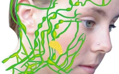 foot, ear and face reflexology to relieve pain. If you would like to learn more about us visit HealingPlaceMedfield.com or if you want to learn self care Reflexoligy from your home #HealingPlaceEnergySchool #pain #painrelief #reflexology #facereflexology #earreflexology