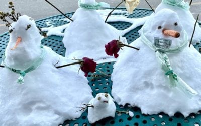 Tabletop snow people. Aren’t they cute? #snowman #snow #joy #healingplacemedfield #healingplaceenergyschool