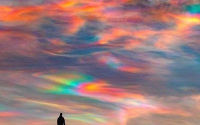 We all have gifts, large or/and small. Gifts are made to be shared. How you view the value of your gift is defined by your beliefs. Everyone has their own “value” definition. Many people think they have nothing to offer, but that isn’t true. We ALL have something to offer. Don’t let the craziness in your head dictates what is valuable and what’s not because you DON’T know how your gift will be perceived. #gift Whatever you decide to do in this moment you probably have been guided by the universe. Let go of the preconceived definition of a gift. Give freely. #gift #awakening #inspirationalquotes #loveyourself #healingplacemedfield #healingplaceenergyschool