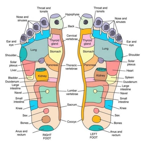 Ask the reflexologist – Would you be interested in having me coming on to doing a live or taped “Ask the Reflexologist.” Let me know. If i get enough yeses, I’ll make it happen. Pick a time, preferable EST. If you have a question about reflexology, put it in the comment box below #reflexology #wellness #healthylifestyle #healthiswealth #selfcare #healing #healingolacemedfield #healingplaceenergyschool ￼￼