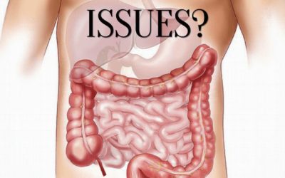 Having Irritable Bowel Syndrome issues? See how I can help you with my courses! Link in bio #reflexology #ibs #selfhelp