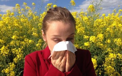 Suffering from Seasonal Allergies? Reflexology Tip
