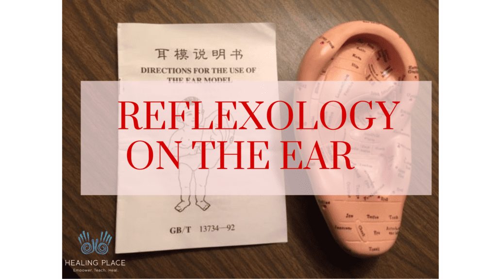 Reflexology ear model