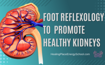 Foot Reflexology to Promote Healthy Kidneys #KidneyStones and #KidneyDisease #KidneyHealth #NearMe  #HealingPlaceEnergySchool