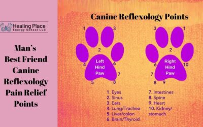 Canine Reflexology Pain Relief Points #ManBestFriend #caninepainrelief #ReflexologyNearme #HealingPlaceEnergyScool